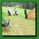 [Click to enlarge image]